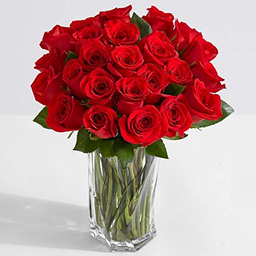 Two Dozen Red Roses for girlfriend birthday gift